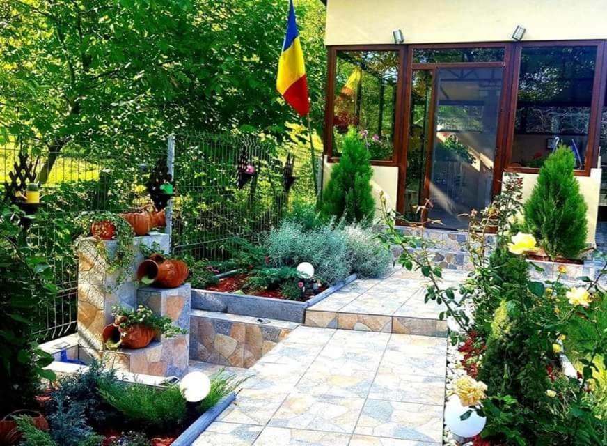 Casa Alex