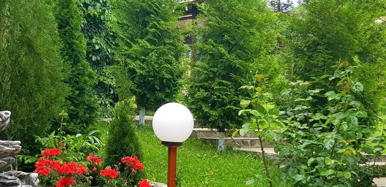 Casa Alex Sărata-Monteoru