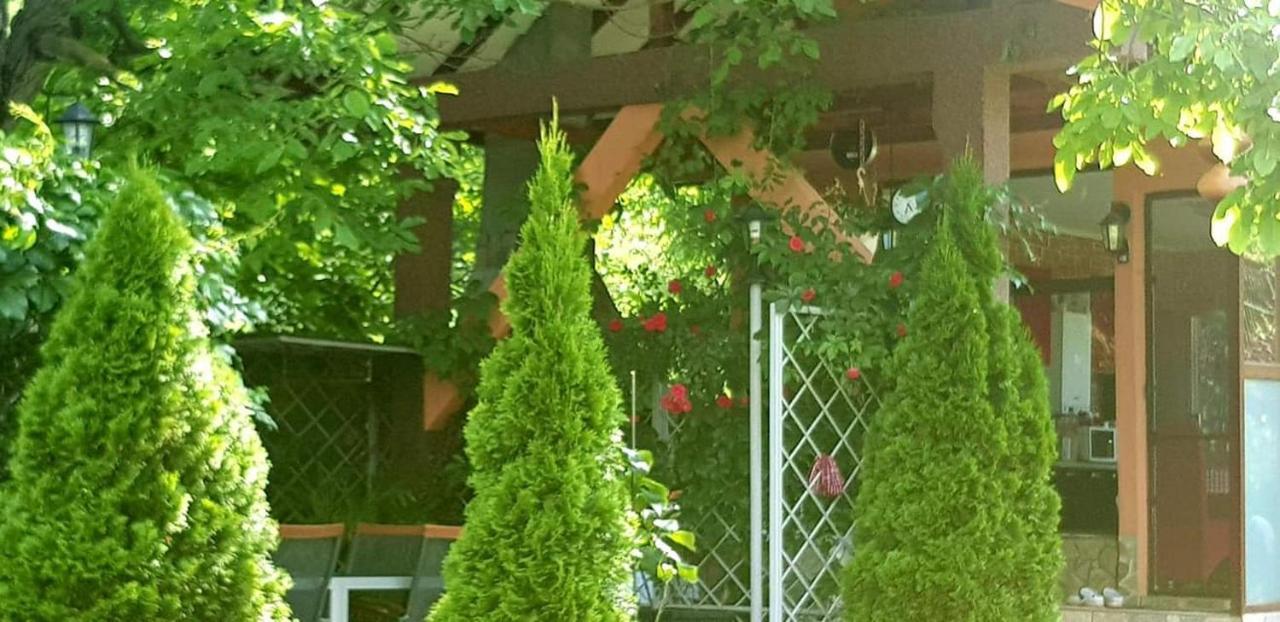 Casa Alex Sărata-Monteoru