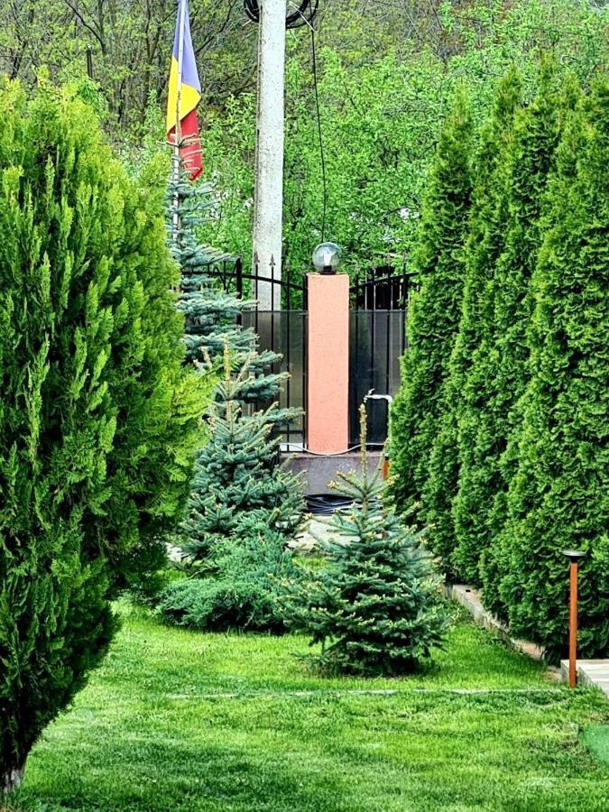 Casa Alex Campeggio