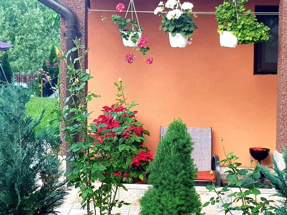 Casa Alex Campeggio *