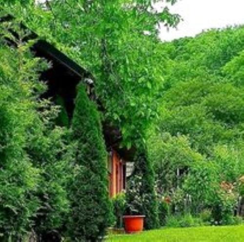 Casa Alex Sărata-Monteoru