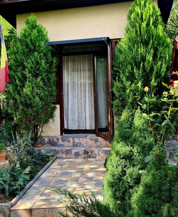 Campeggio Casa Alex