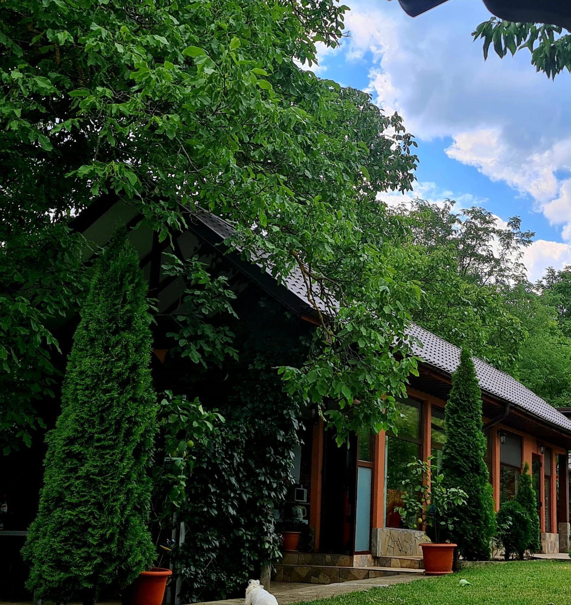 Casa Alex * Sărata-Monteoru